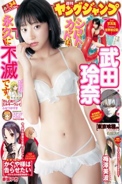 日韩一区二区视频在线观看