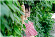 快把我哥带走电视剧在线观看免费