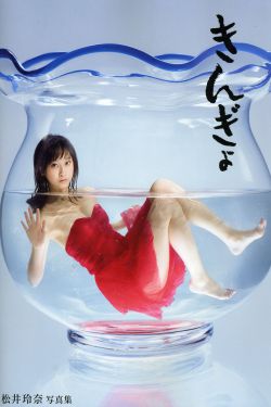 电视剧双面佳人