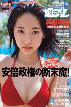 爽网站