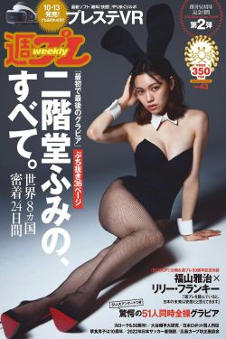 情摄小说